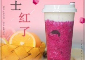 178体育直播：芝士红了